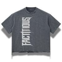 Boxy Ripped T