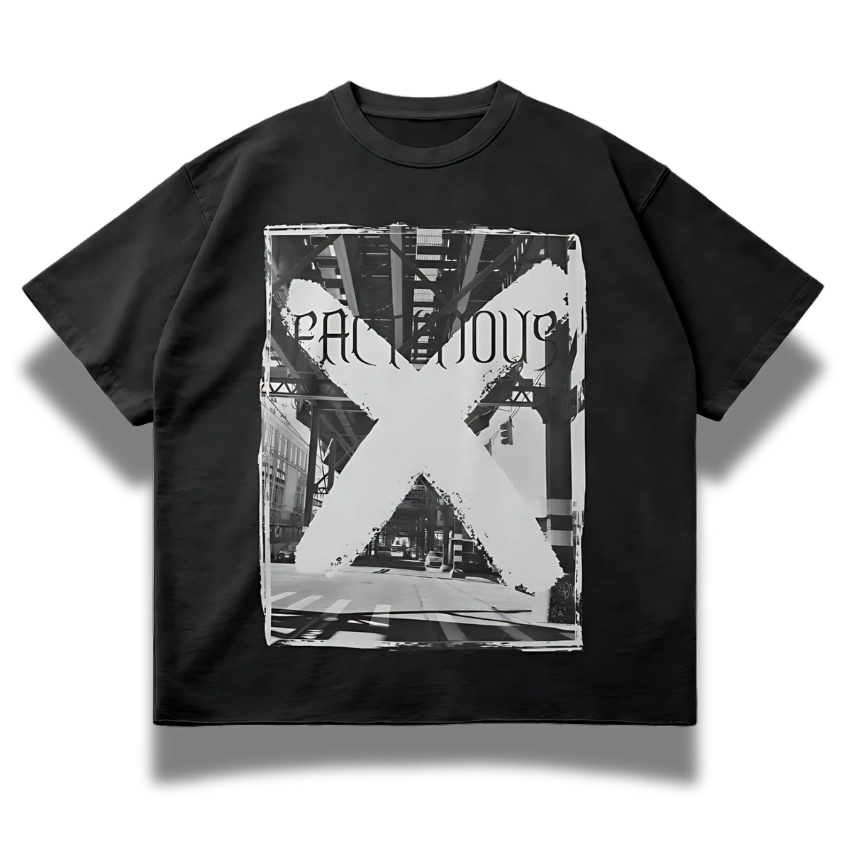 FACTITIOUS SOCIETY CITIZEN X T