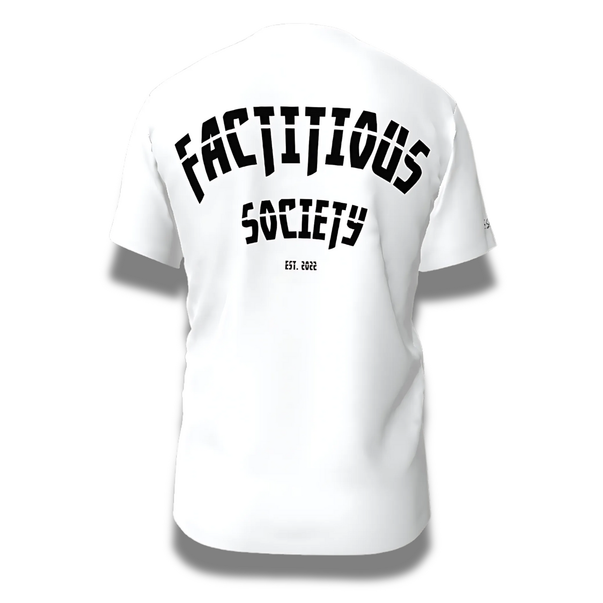 FACTITIOUS SOCIETY FSNYC T