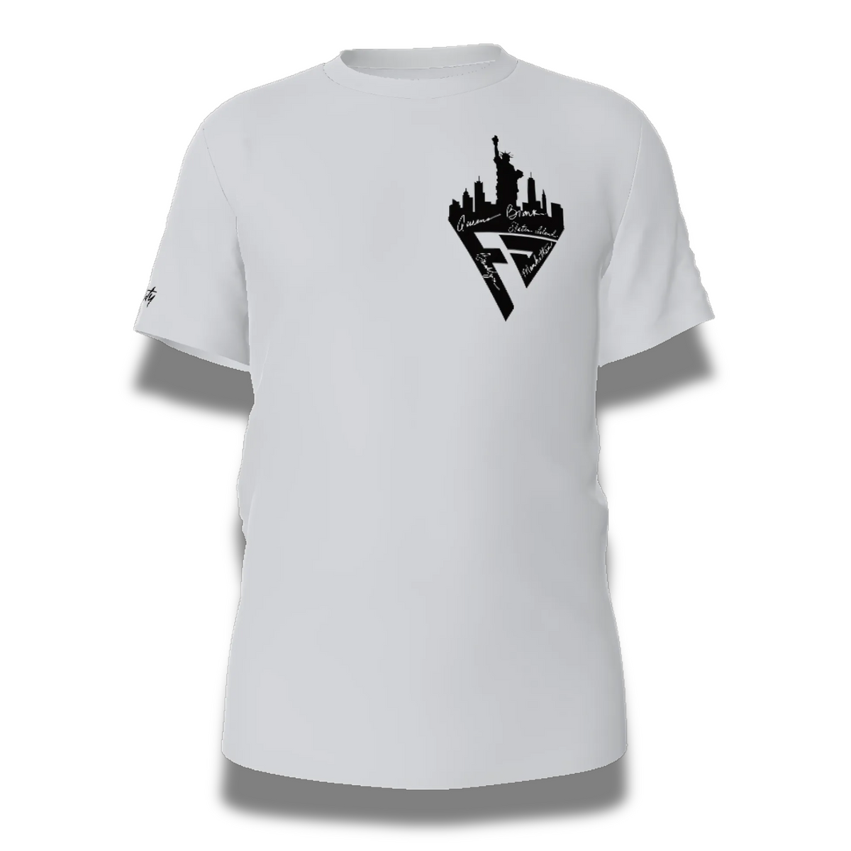 FACTITIOUS SOCIETY FSNYC T