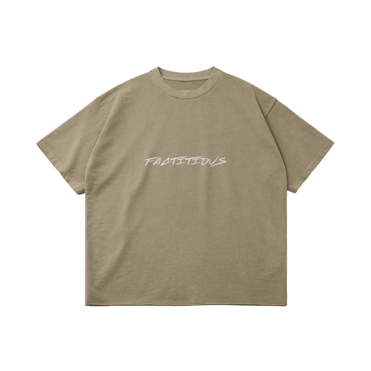 FACTITIOUS SOCIETY FACTITIOUS T - front view